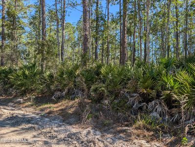 LOT 36 DINES Avenue, Interlachen, FL, 32148