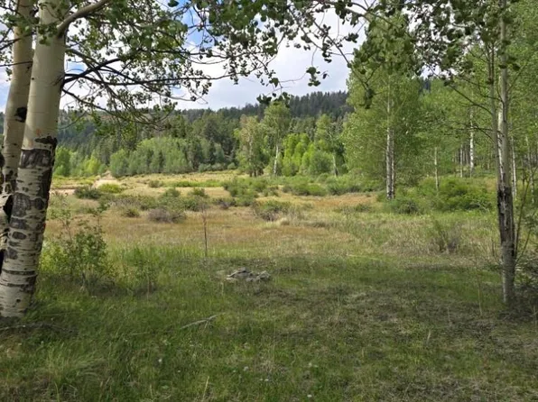 Lots 6276 & 6277 Malcolm and Shioshita Road, San Luis, CO 81152