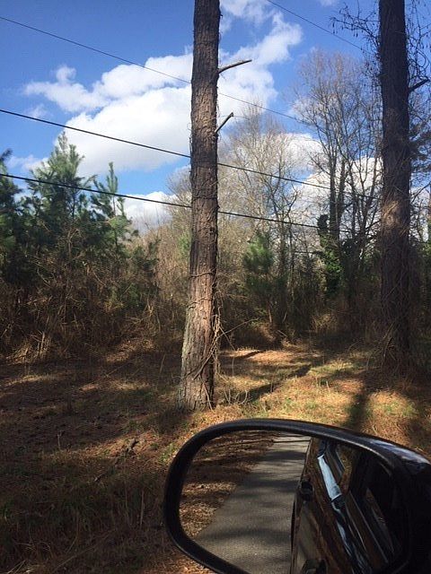 2nd image of 550 Cotton Dr