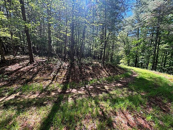 3rd image of 25 Brittany Ln