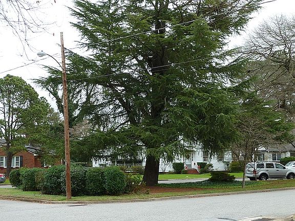 5th image of 401 Sussex Dr