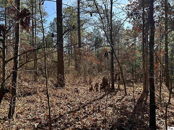 2nd image of 0 Dozier Rd