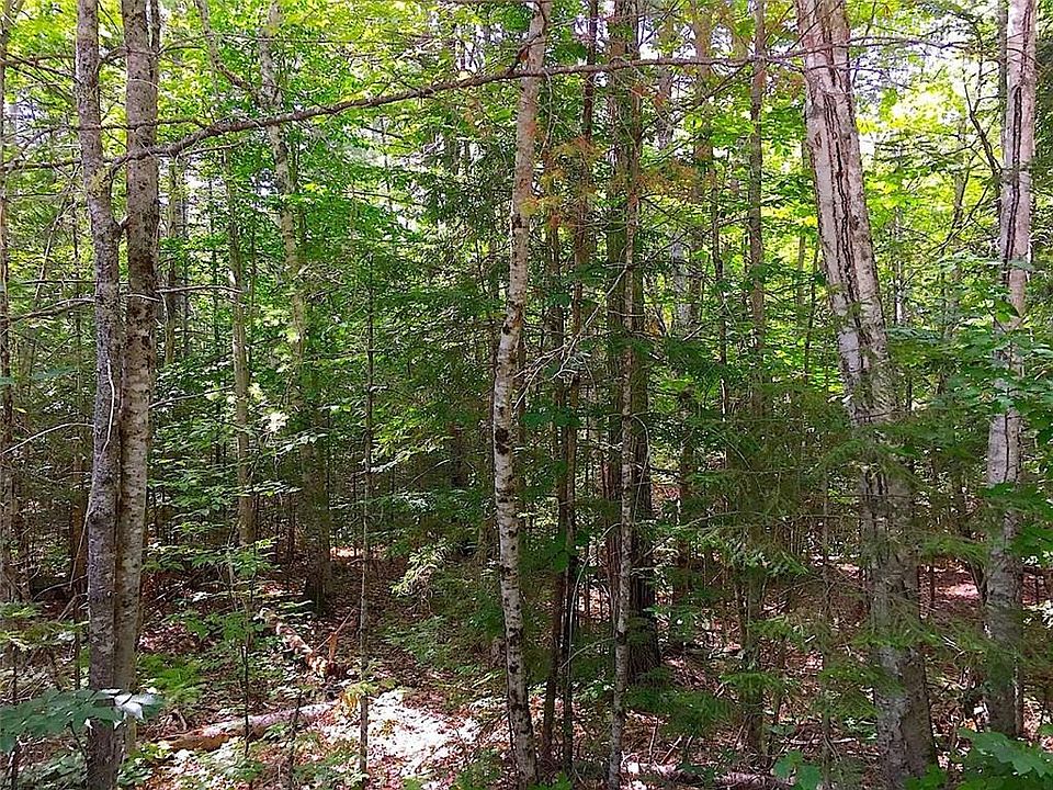 2nd image of McCurdy Rd