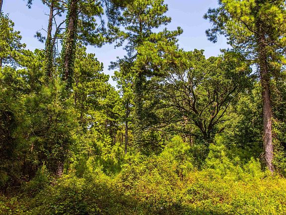 3rd image of TRACT 7 County Road 4221