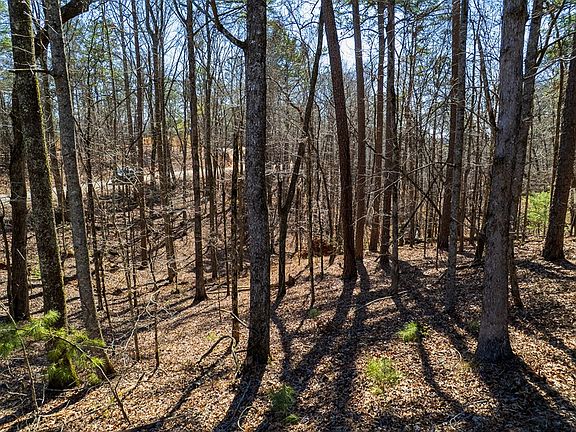5th image of LOT 686 Julep Cir