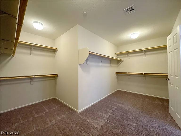 6132 Scarlet Leaf St — Photo 28