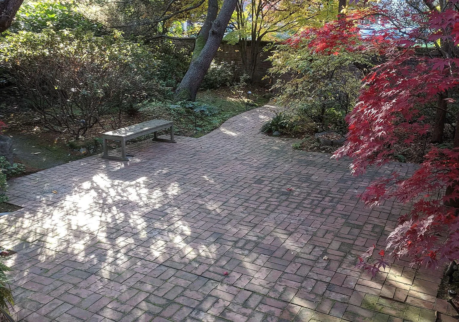 5 bed, 2.5 bath, 4070 sqft, $9,000 — Photo 3