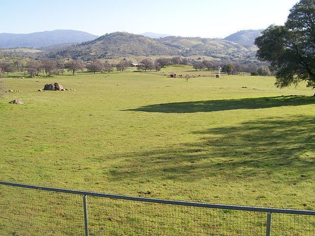 Open gorgeous meadows!