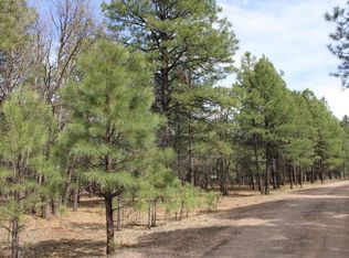 4005 Night Hawk Loop, Pinetop, AZ 85935