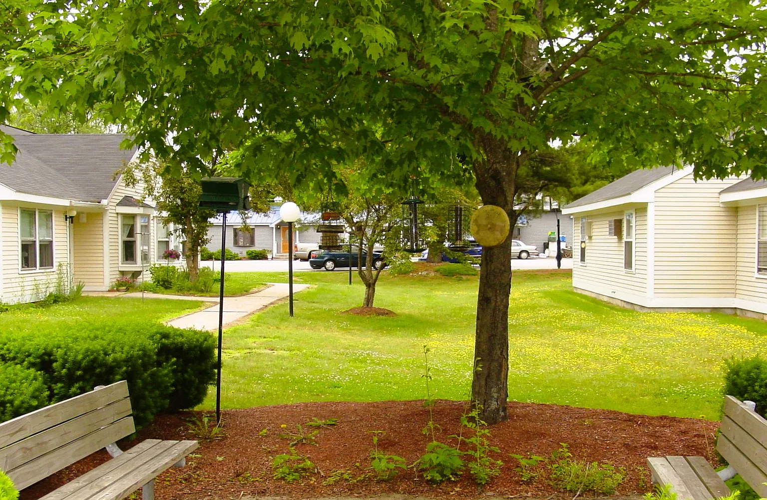Boscawen Green — Photo 2