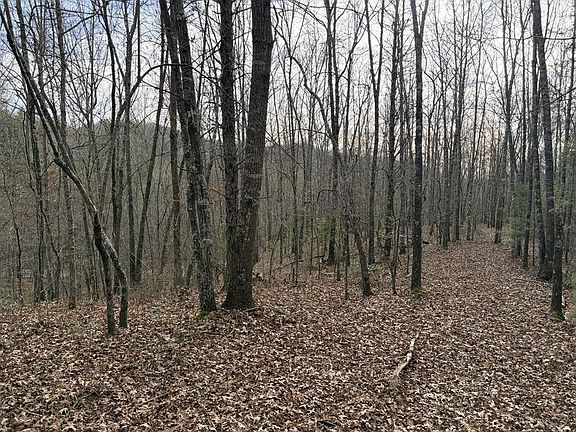 5th image of Cutcane Rd
