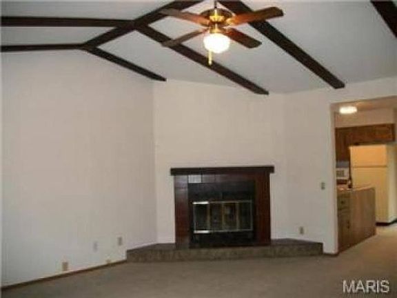 Fireplace - wood burning