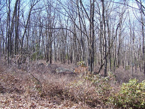 3rd image of 158 Hedge Hollow Ct