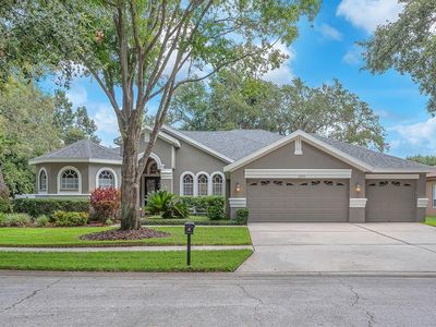 15206 Merlinpark Pl, Lithia, FL, 33547