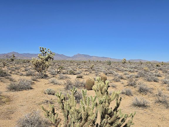 5th image of 123-30 S Sundance Kid Rd #9