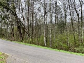 1st image of 0 Old Dunlap Rd