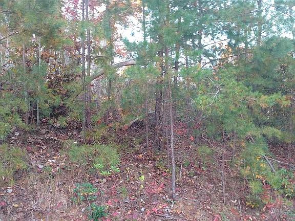 3rd image of 17 Treehouse Ln #17