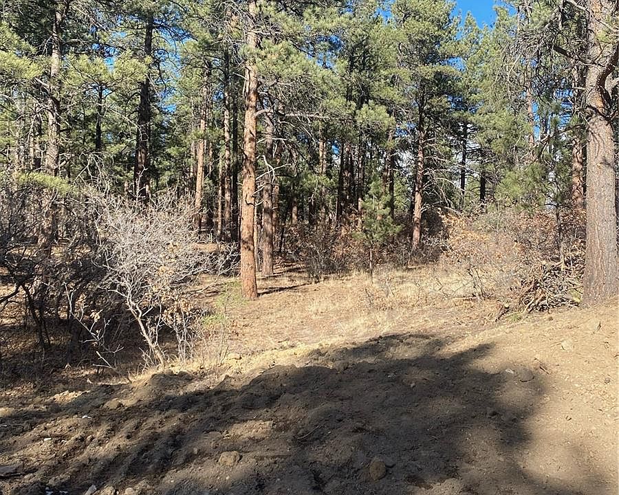 2nd image of 745 Poncho Road