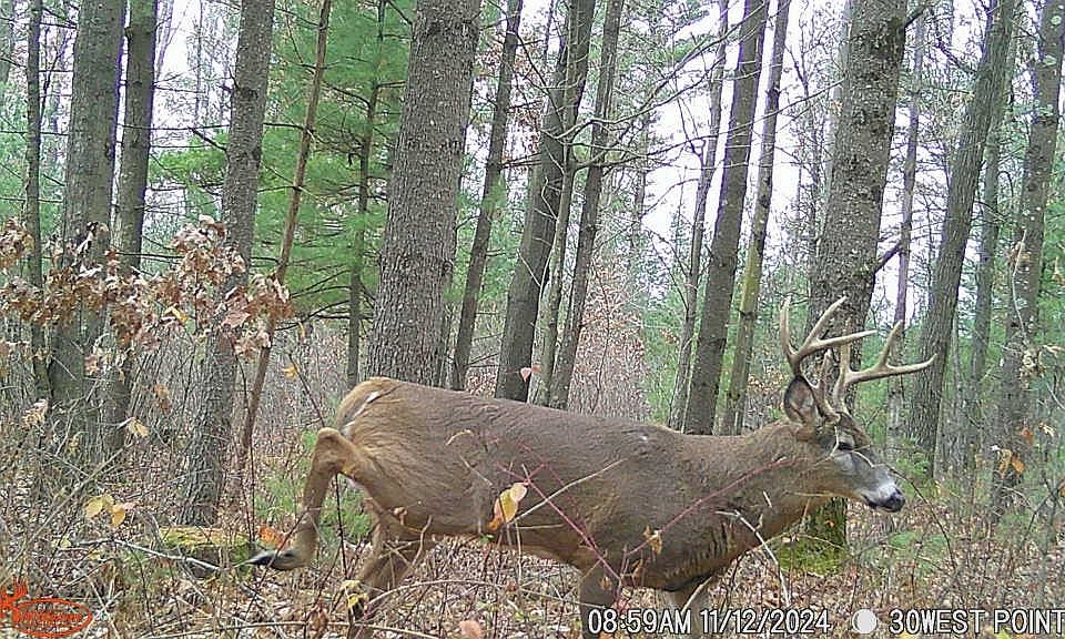 1st image of W10979 County Highway B