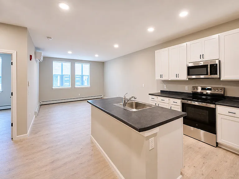 Modern Kitchen and Living Room