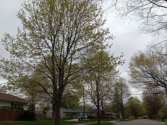 4th image of 3404 Peale Dr