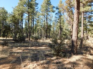 2768 Canyon Ridge Rd, Overgaard, AZ 85933