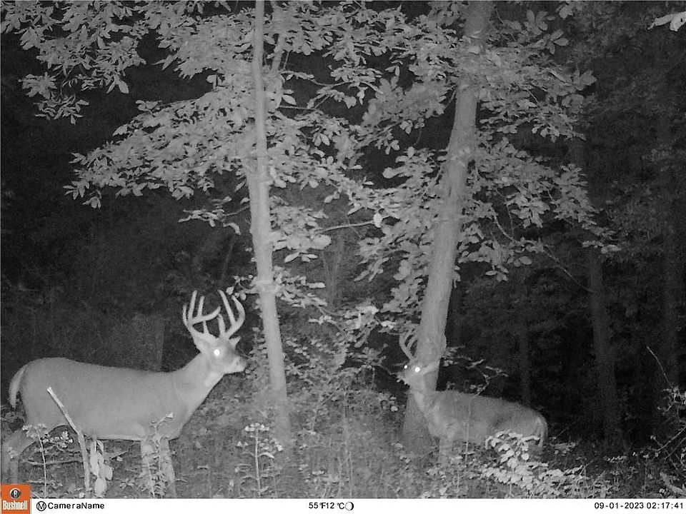 0 E Highway 6, Galt, MO 64641 Zillow