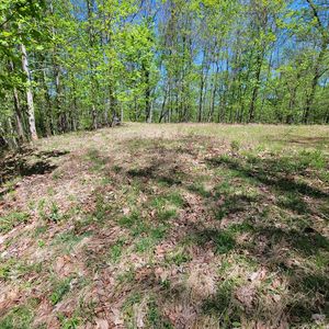 (Undisclosed Address), Franklin, NC, 28734