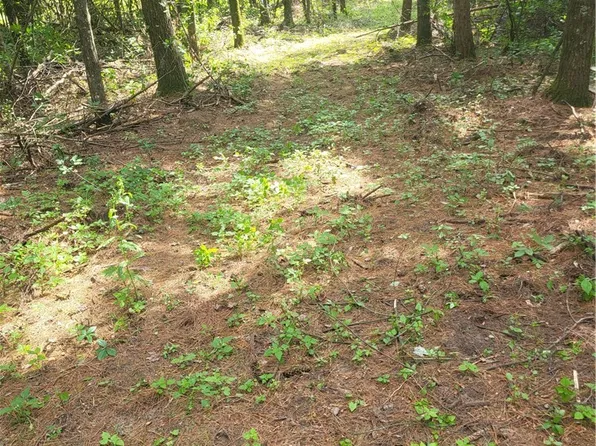 Lot 4 Betty Lane, Black River Falls, WI 54615