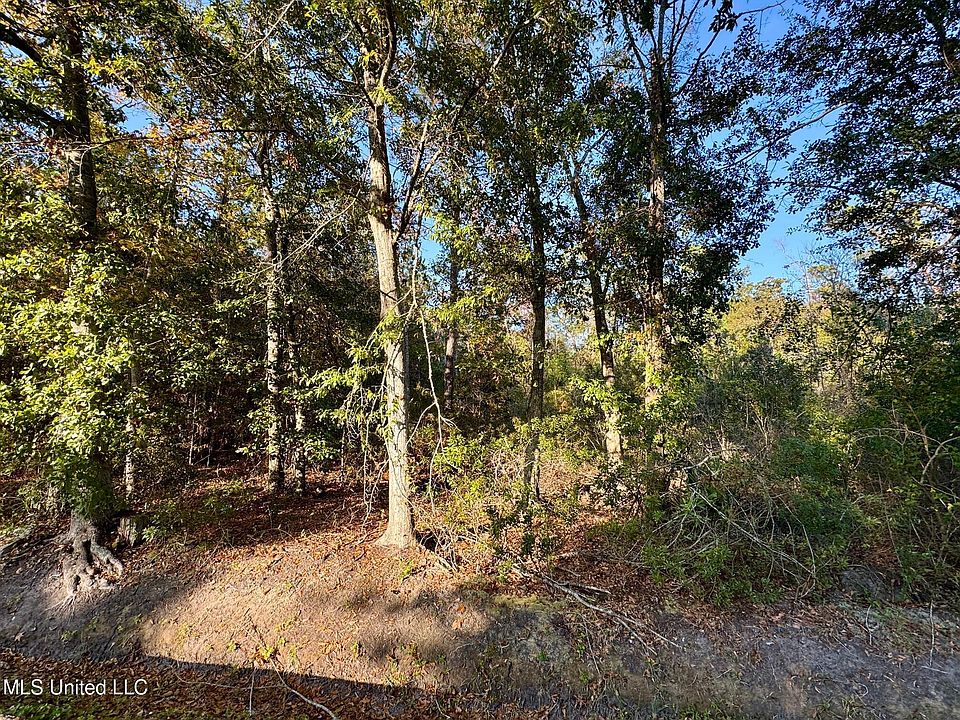2nd image of Sycamore St