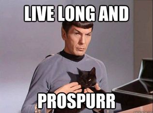 1005 Valley Rd, Tupelo, MS 38804