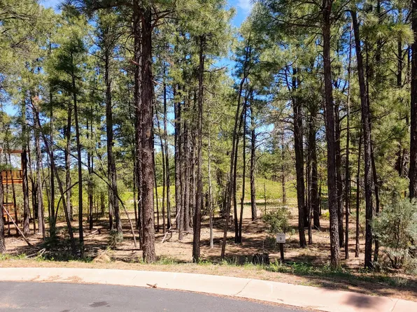 2580 W Snowberry Loop, Show Low, AZ 85901