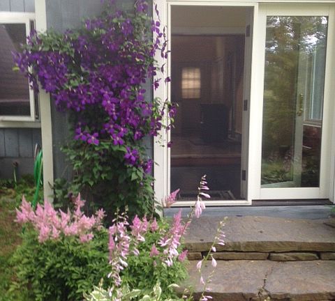 Entry way, purple clematis