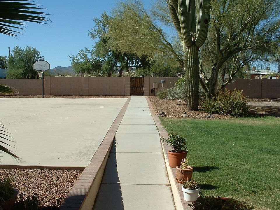 Great Back yard w/ full basketball court, grass, a saguaro, an area for a pool