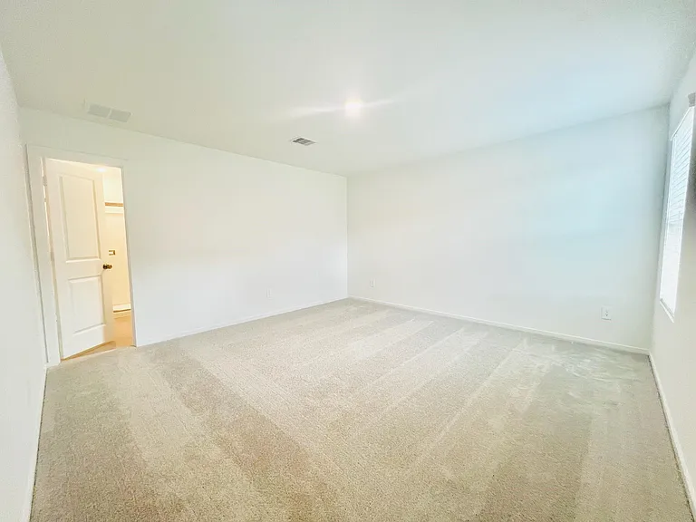 1376 Diamond Carnation Dr — Photo 5