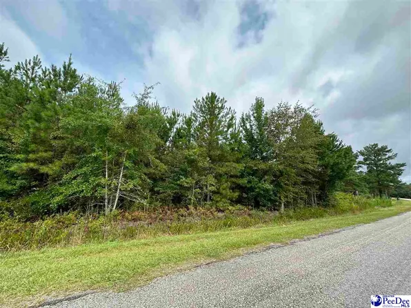 American Ave, Turbeville, SC 29162