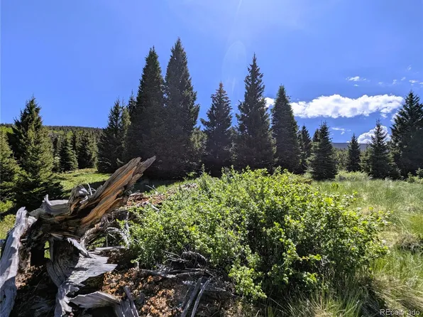 3119-3121 Segal Place LOT 3119, 3120, 3121, Fort Garland, CO 81133