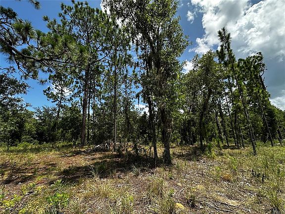 5th image of 150 SE 144th Ave Lot 4