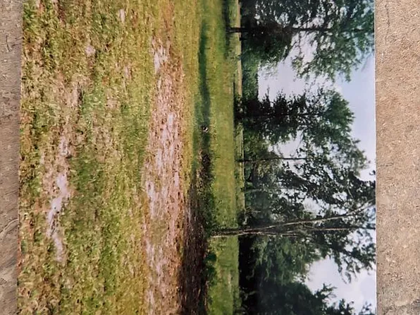 11199 Mulberry Landing Anx, Hilliard, FL 32046
