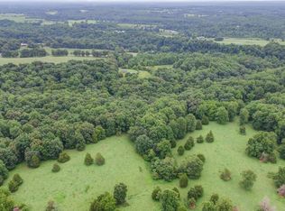 7711 Barnhill Rd, Primm Springs, TN 38476