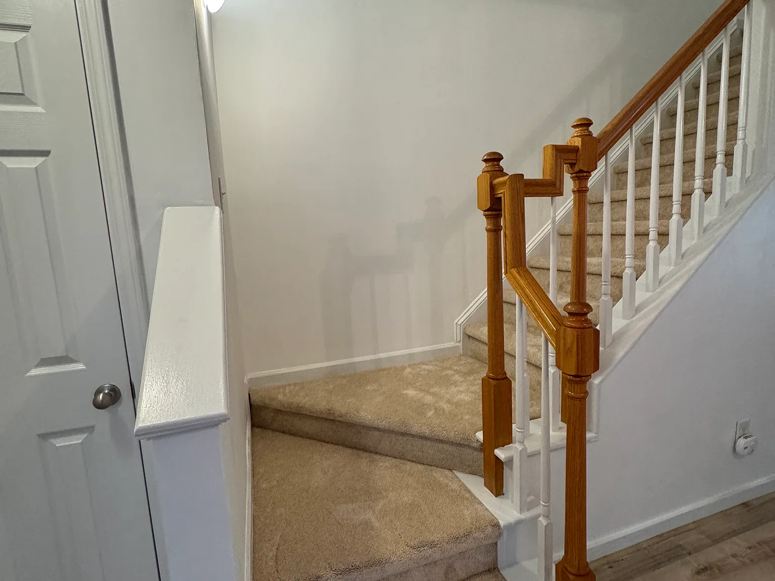 7736 Averette Fld — Photo 3