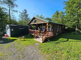 514 Dean Creek Rd, Spencer, NY 14883