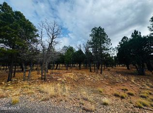 2793 Hummingbird Cir #159, Happy Jack, AZ 86024