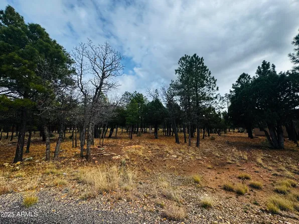 2793 HUMMINGBIRD Circle #159, Happy Jack, AZ 86024