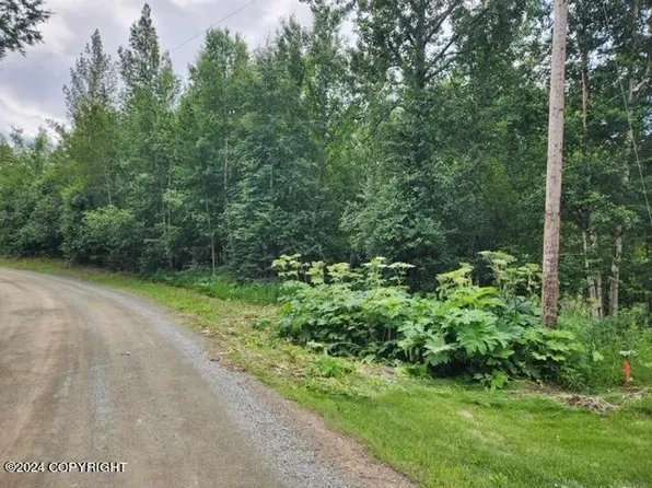 5410 E Tamerack Cir, Wasilla, AK 99654