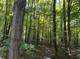 LOT 41 Heideldorf Ln, Bellaire, MI 49615