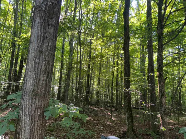 LOT 41 Heideldorf Ln, Bellaire, MI 49615