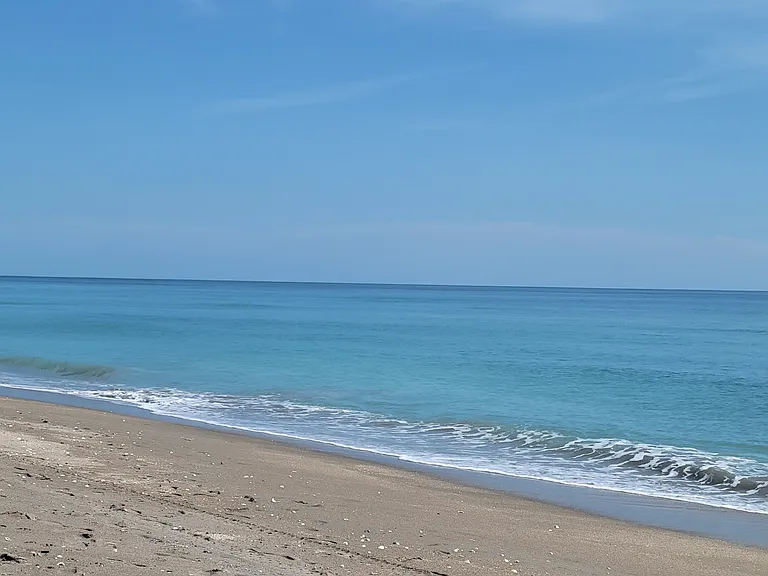 10600 S Ocean Dr #209 — Photo 10