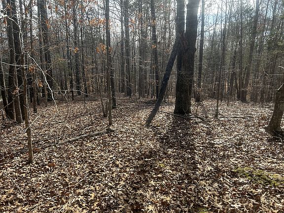 5th image of 0 Mount Carmel Rd