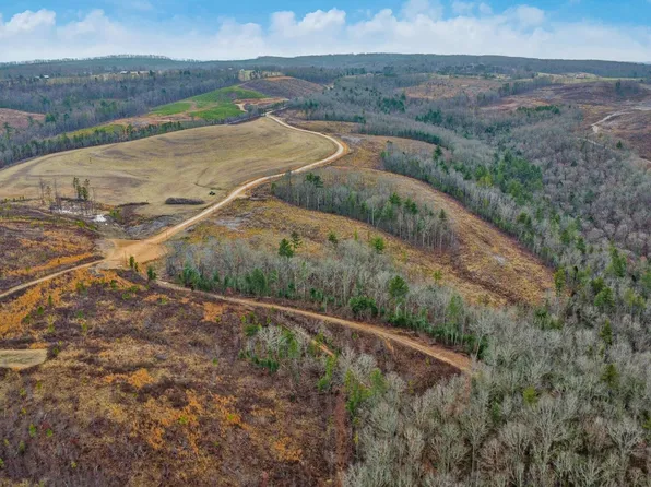 Possom Trot Rd Tract 5, Grandview, TN 37337